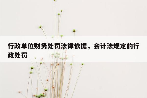 行政单位财务处罚法律依据，会计法规定的行政处罚