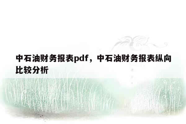 中石油财务报表pdf，中石油财务报表纵向比较分析