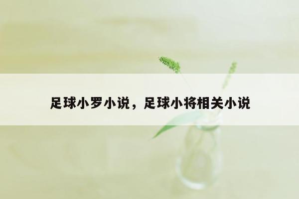 足球小罗小说，足球小将相关小说