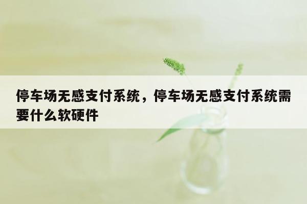 停车场无感支付系统，停车场无感支付系统需要什么软硬件