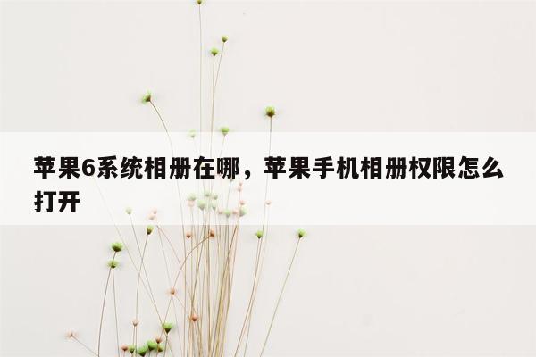 苹果6系统相册在哪，苹果手机相册权限怎么打开