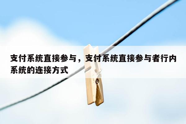 支付系统直接参与，支付系统直接参与者行内系统的连接方式