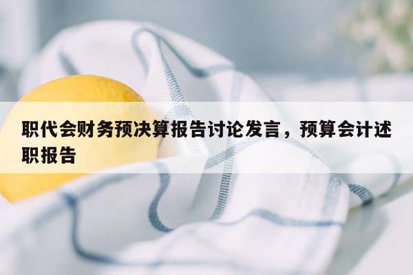 职代会财务预决算报告讨论发言，预算会计述职报告