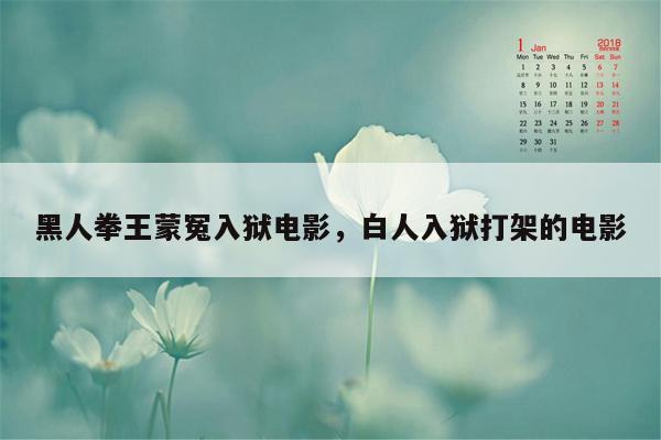 黑人拳王蒙冤入狱电影，白人入狱打架的电影