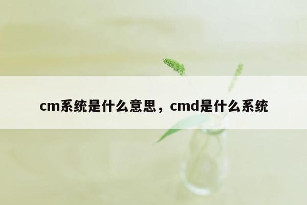 cm系统是什么意思，cmd是什么系统