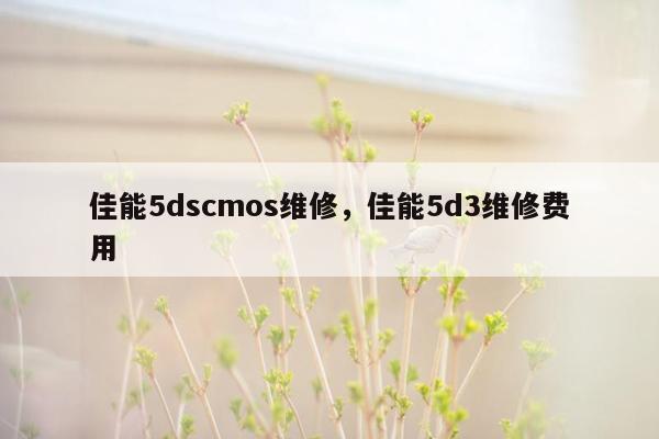 佳能5dscmos维修，佳能5d3维修费用