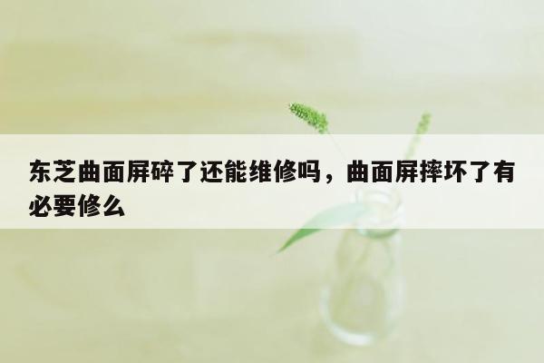 东芝曲面屏碎了还能维修吗，曲面屏摔坏了有必要修么