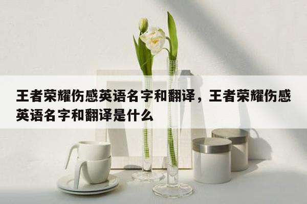 王者荣耀伤感英语名字和翻译，王者荣耀伤感英语名字和翻译是什么