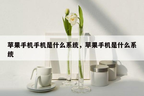 苹果手机手机是什么系统，苹果手机是什么系统