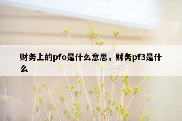 财务上的pfo是什么意思，财务pf3是什么