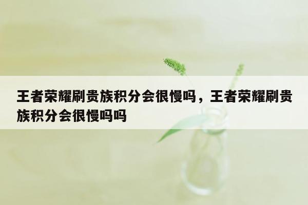 王者荣耀刷贵族积分会很慢吗，王者荣耀刷贵族积分会很慢吗吗