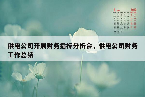 供电公司开展财务指标分析会，供电公司财务工作总结