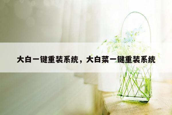 大白一键重装系统，大白菜一键重装系统