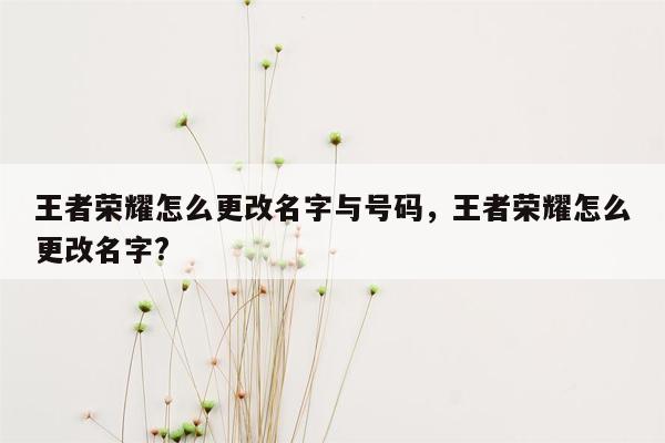 王者荣耀怎么更改名字与号码，王者荣耀怎么更改名字?