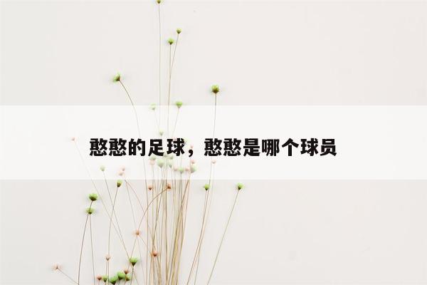 憨憨的足球，憨憨是哪个球员