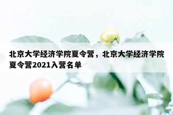 北京大学经济学院夏令营，北京大学经济学院夏令营2021入营名单