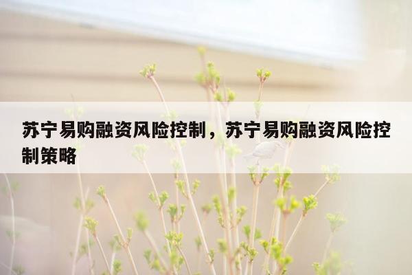 苏宁易购融资风险控制，苏宁易购融资风险控制策略