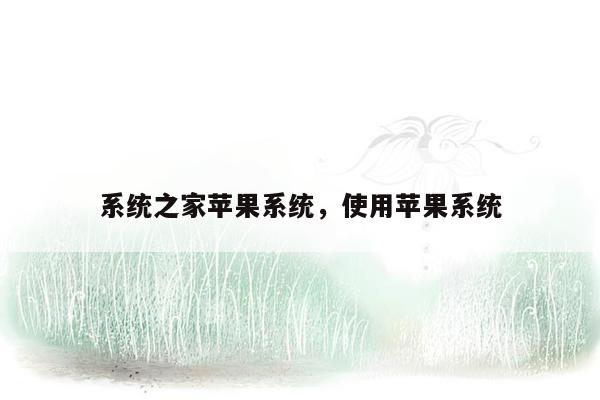 系统之家苹果系统，使用苹果系统