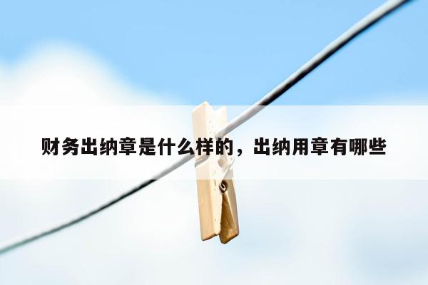 财务出纳章是什么样的，出纳用章有哪些