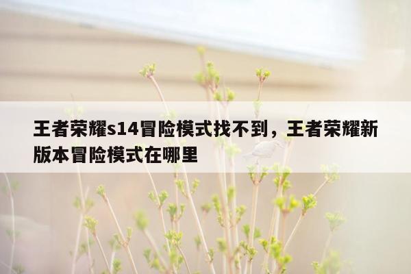 王者荣耀s14冒险模式找不到，王者荣耀新版本冒险模式在哪里