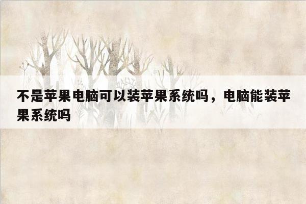 不是苹果电脑可以装苹果系统吗，电脑能装苹果系统吗