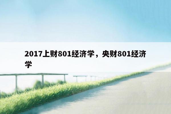 2017上财801经济学，央财801经济学