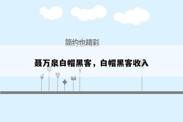 聂万泉白帽黑客，白帽黑客收入