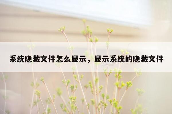 系统隐藏文件怎么显示，显示系统的隐藏文件