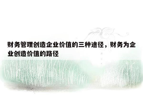 财务管理创造企业价值的三种途径，财务为企业创造价值的路径