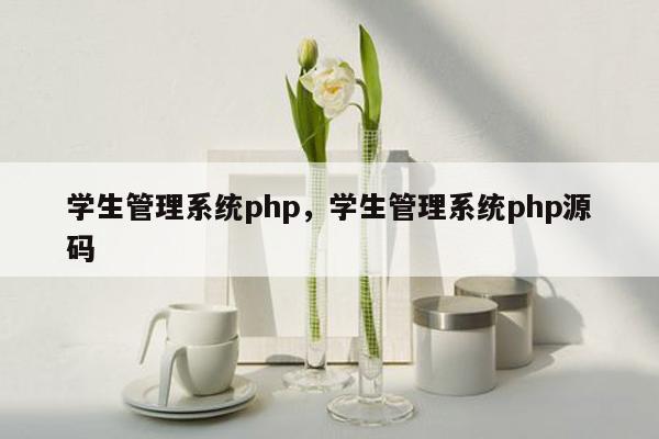 学生管理系统php，学生管理系统php源码