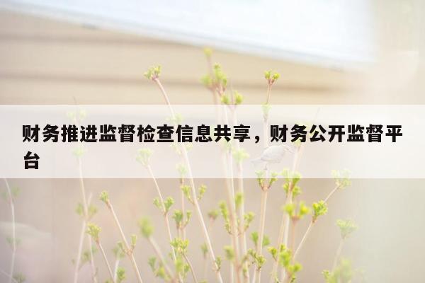 财务推进监督检查信息共享，财务公开监督平台