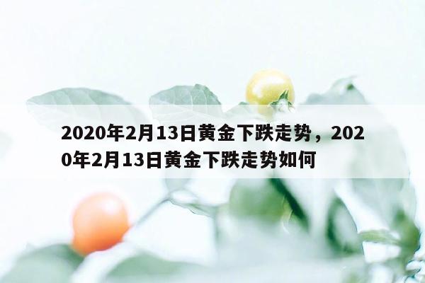 2020年2月13日黄金下跌走势，2020年2月13日黄金下跌走势如何