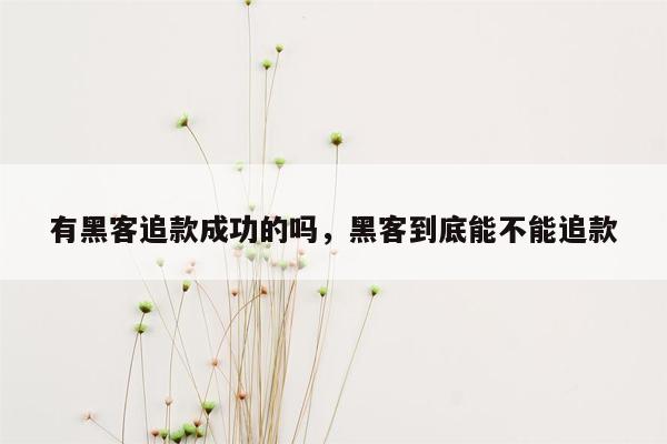 有黑客追款成功的吗，黑客到底能不能追款