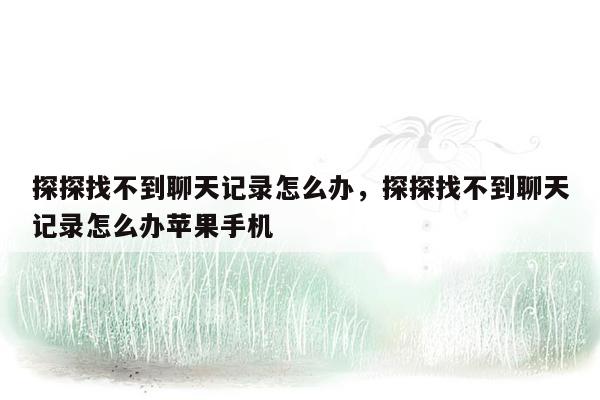 探探找不到聊天记录怎么办，探探找不到聊天记录怎么办苹果手机