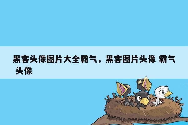 黑客头像图片大全霸气，黑客图片头像 霸气 头像