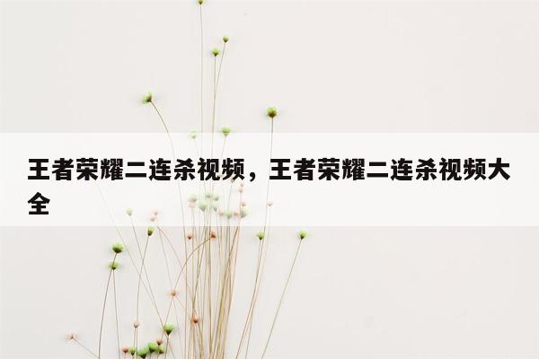 王者荣耀二连杀视频，王者荣耀二连杀视频大全