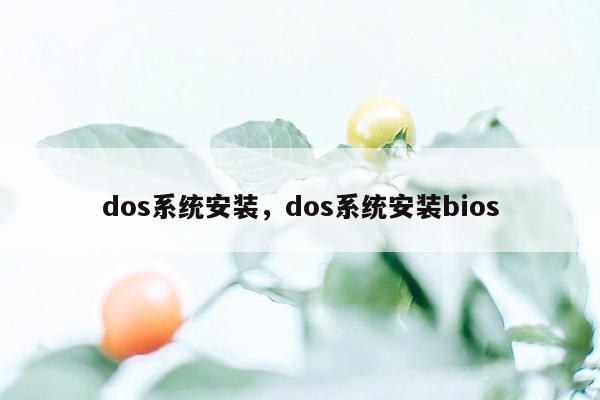 dos系统安装，dos系统安装bios