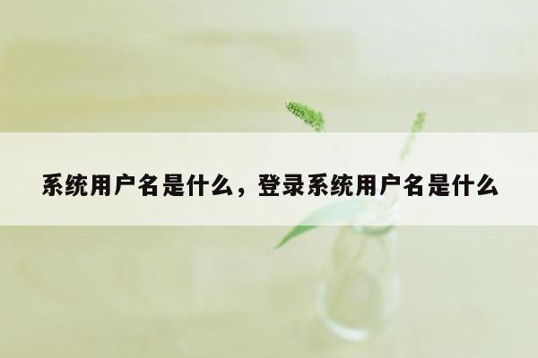 系统用户名是什么，登录系统用户名是什么