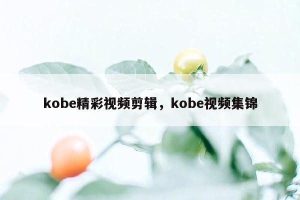 kobe精彩视频剪辑，kobe视频集锦