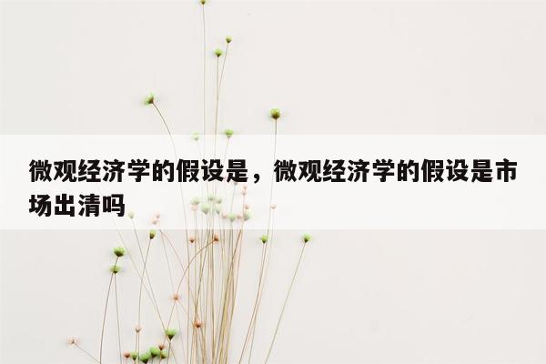 微观经济学的假设是，微观经济学的假设是市场出清吗