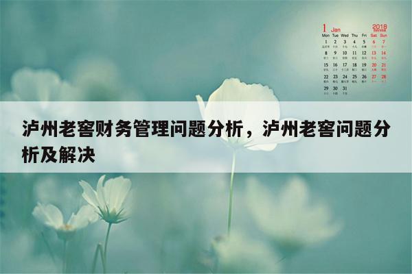 泸州老窖财务管理问题分析，泸州老窖问题分析及解决