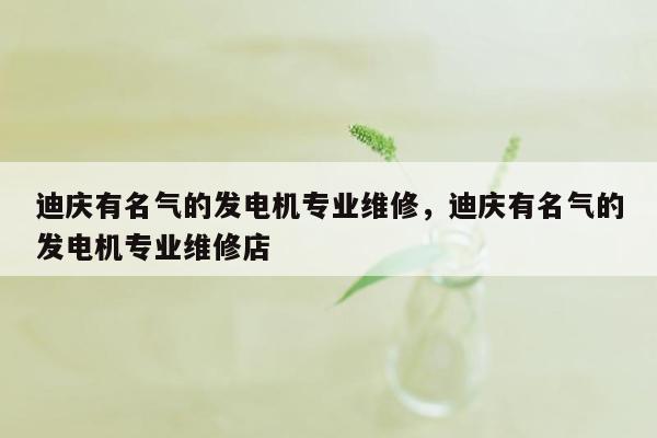 迪庆有名气的发电机专业维修，迪庆有名气的发电机专业维修店