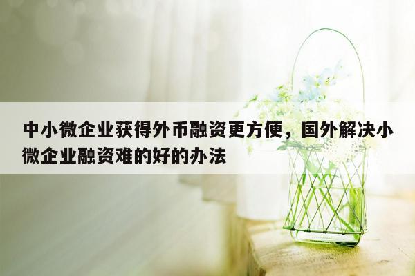 中小微企业获得外币融资更方便，国外解决小微企业融资难的好的办法