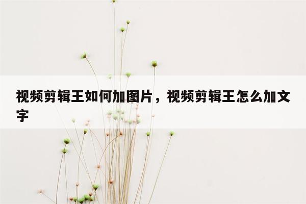 视频剪辑王如何加图片，视频剪辑王怎么加文字