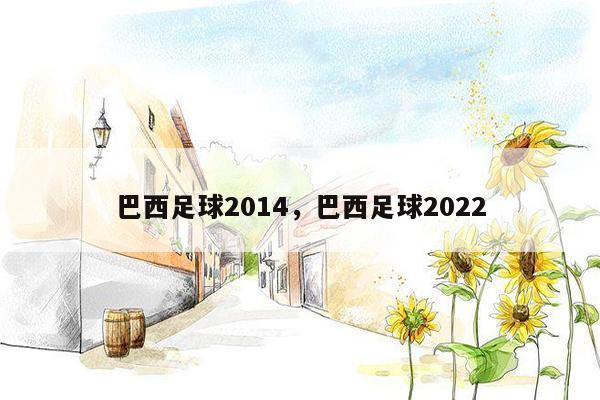 巴西足球2014，巴西足球2022