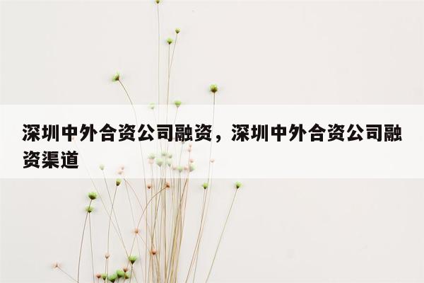 深圳中外合资公司融资，深圳中外合资公司融资渠道