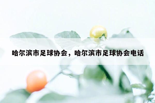 哈尔滨市足球协会，哈尔滨市足球协会电话