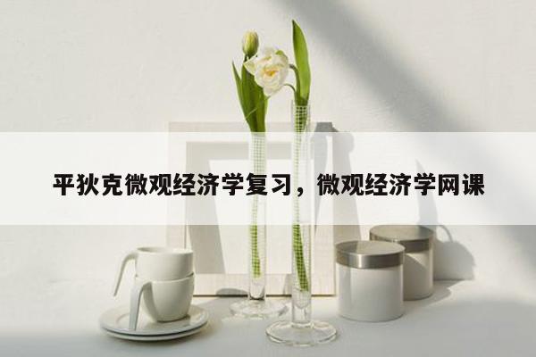 平狄克微观经济学复习，微观经济学网课