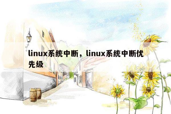 linux系统中断，linux系统中断优先级