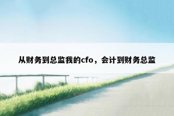 从财务到总监我的cfo，会计到财务总监